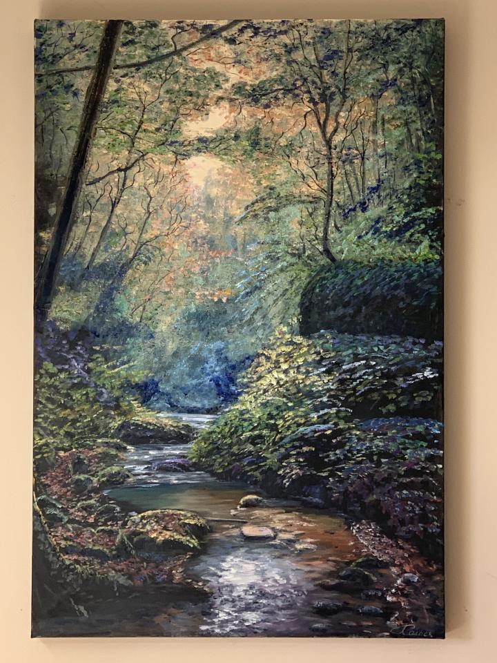 Sunlight and Sunctuary