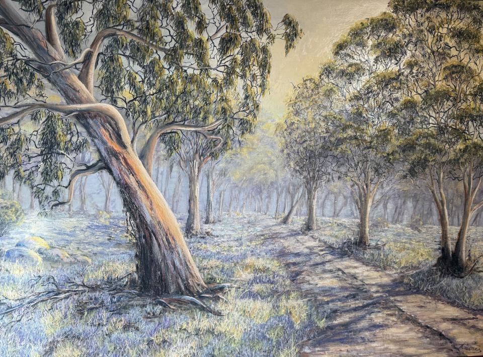 Sunrise through the Mist