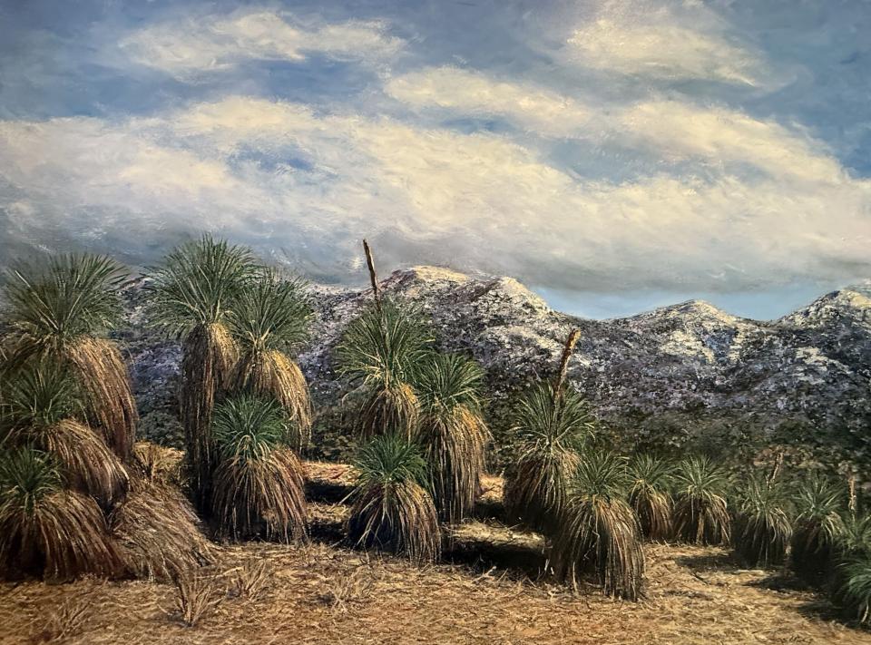 Tidbinbilla Grasstrees