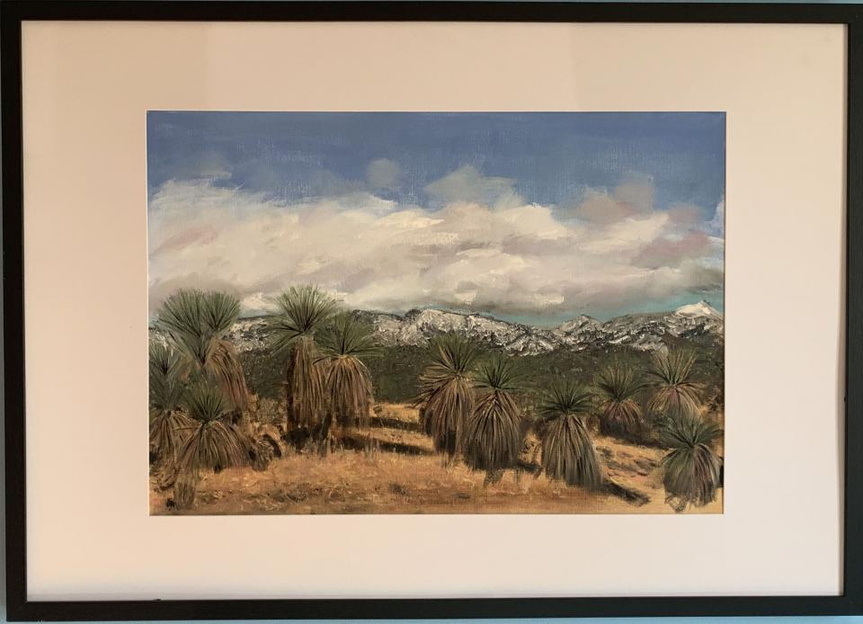 Tidbinbilla Grasstrees